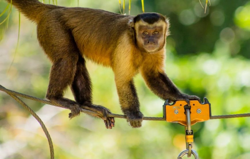 Scape Park, Cap Cana with Lunch and Pick up from Santo Domingo