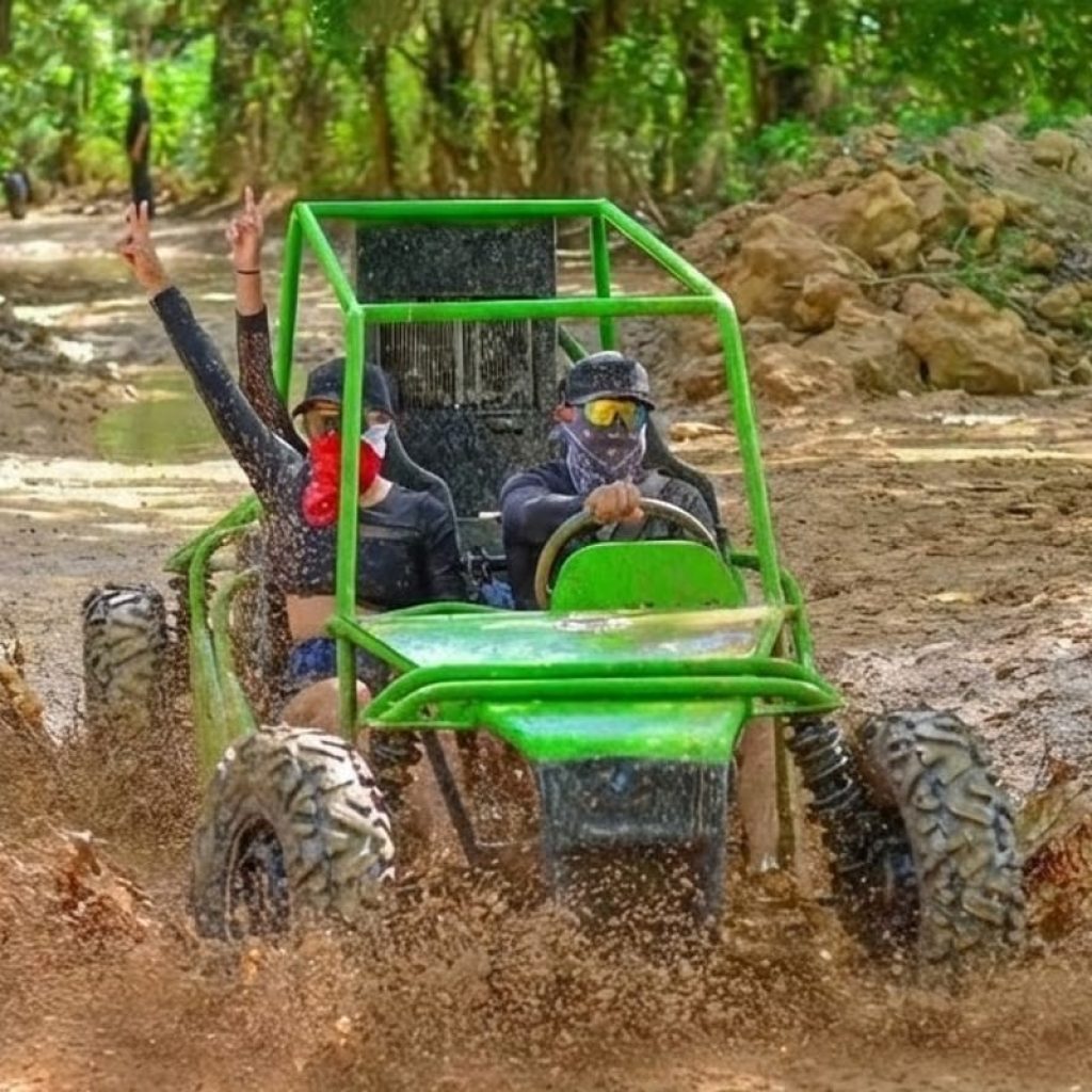 Buggies Experience