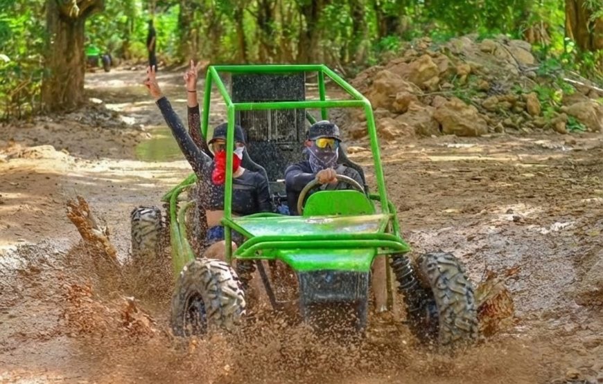 Buggies Experience
