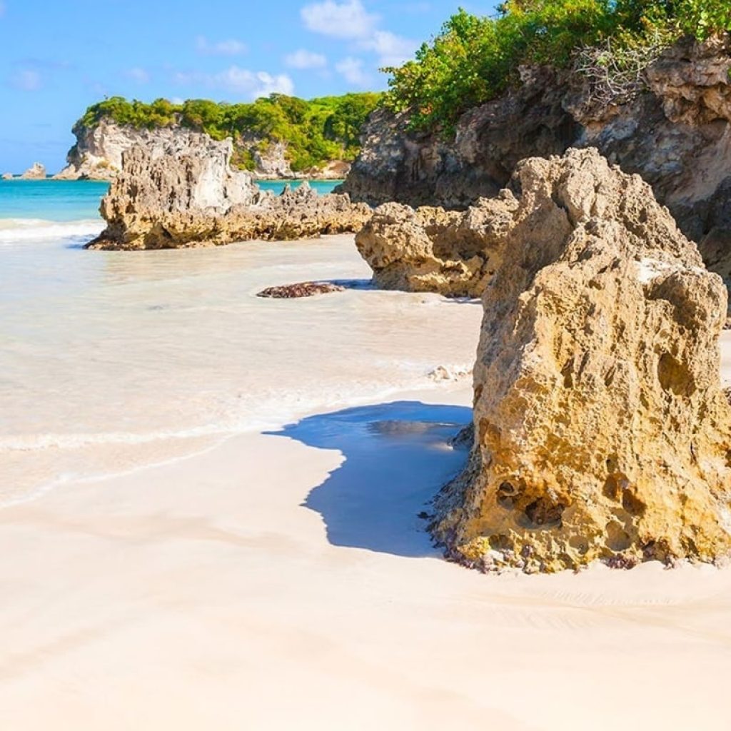 Full Day Punta Cana