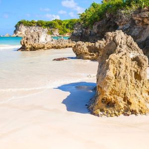 Full Day Punta Cana