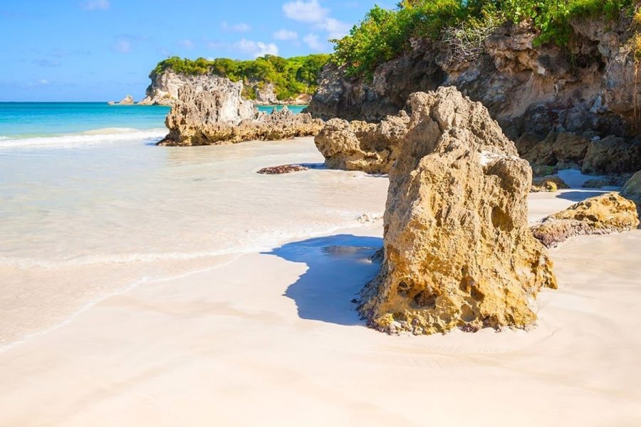 Full Day Punta Cana