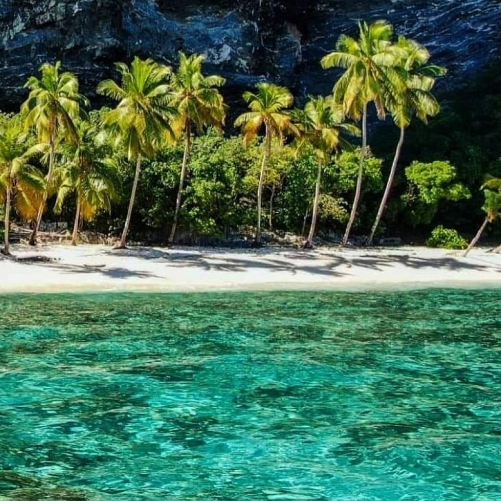 Samaná Route: 4 Beaches